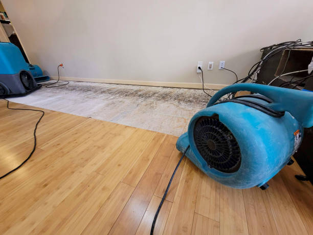 Professional Basement Flood Cleanup technician working in Havertown, PA